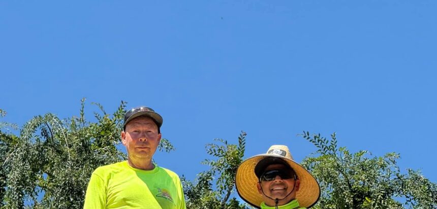 BSW Roofing, Solar & Air